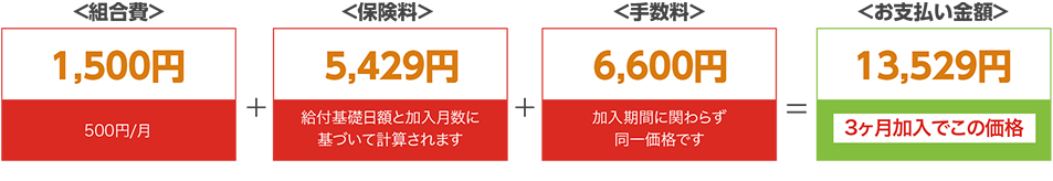 お支払い金額13,842円